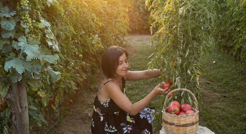 Hotel Hotel Al Mulino