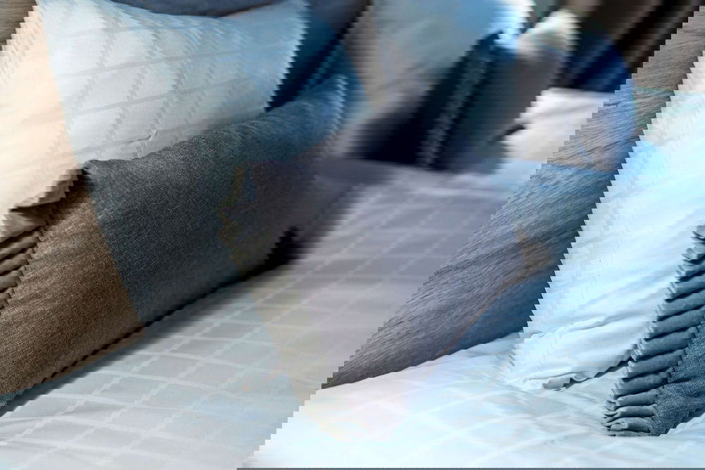 Hotel Scandic Umea Plaza