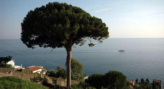 Hotel Il Pino