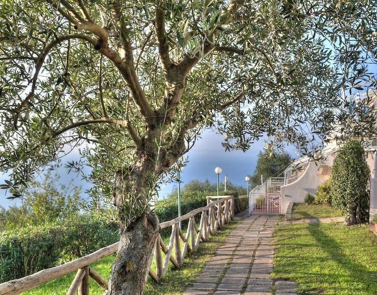 Gocce Di Capri Hotel & Serviced Residence