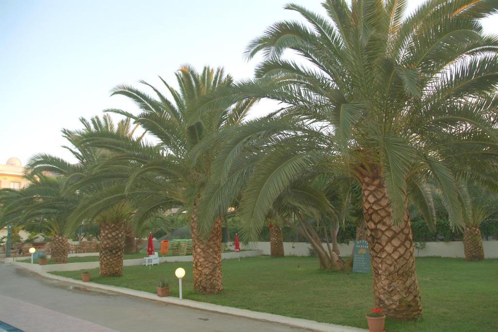 Hotel Theoni Apartments