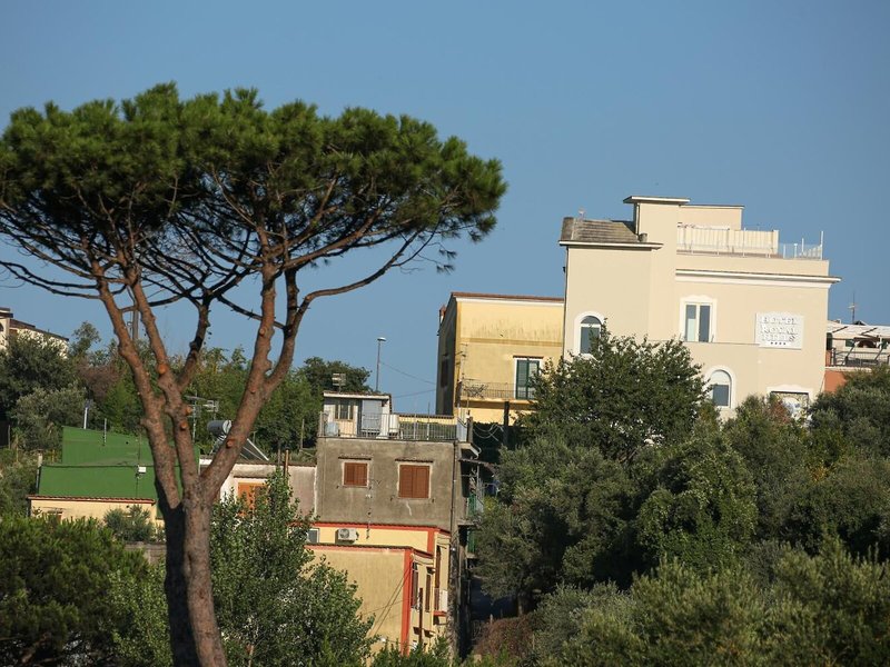Hotel Royal Hills