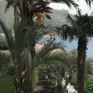 Hotel B&B I Limoni cazare Ravello