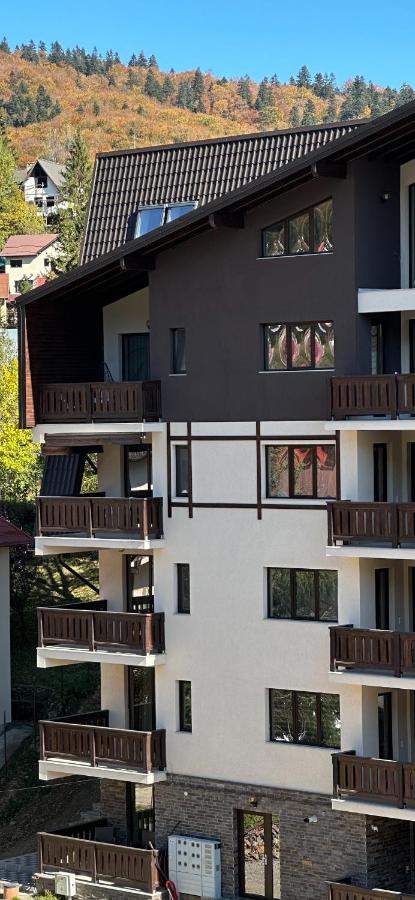 The View Studio Busteni