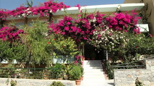 Hotel Dedalos Beach Hotel cazare Sfakaki