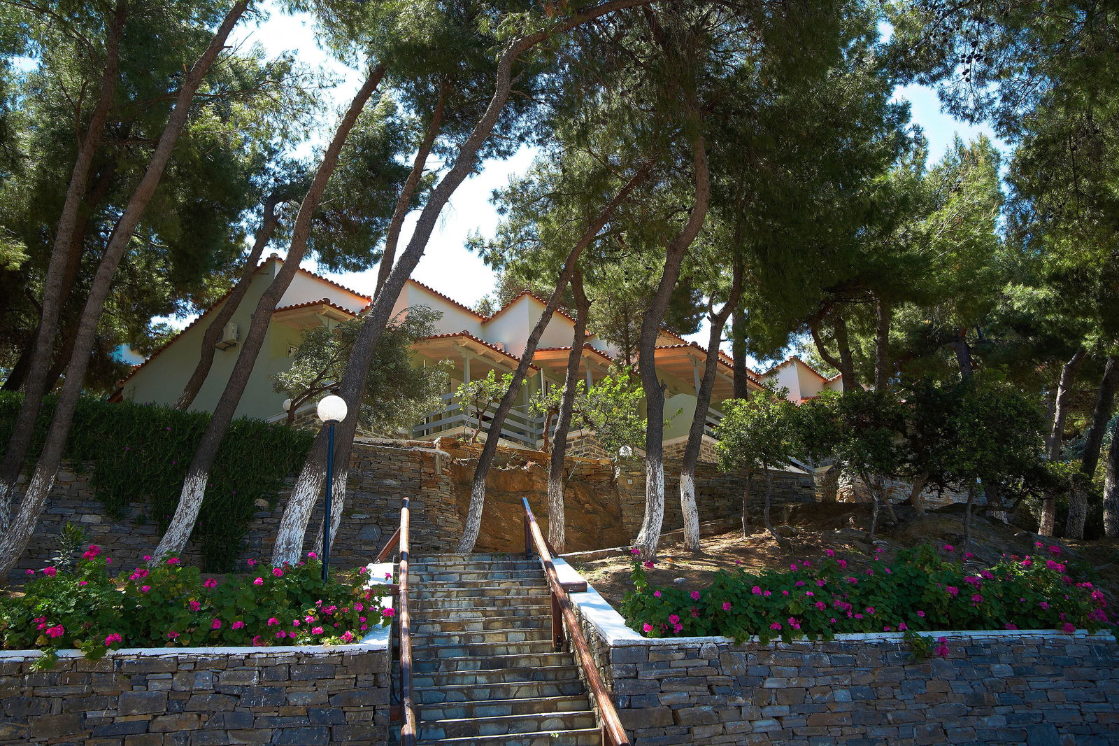 Hotel Venus Beach Bungalows Hotel