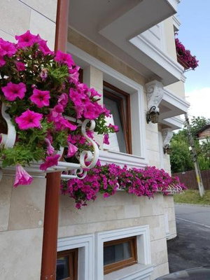 Hotel Pensiunea Geostar cazare Curtea de Arges