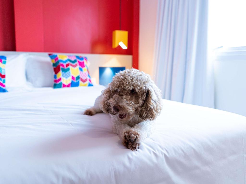 Hotel Ibis Styles Campina Grande