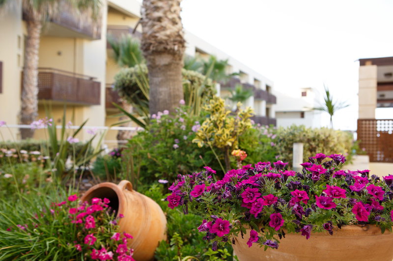 Giannoulis Santa Marina Plaza (Adults Only +16 Y.o)