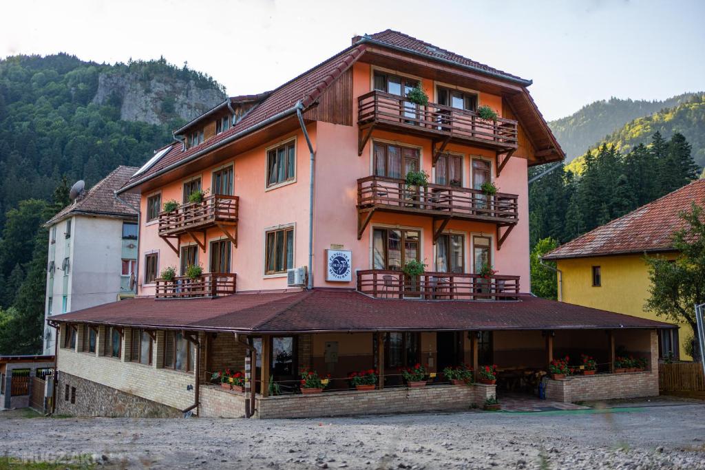 Hotel Pensiunea Viktoria