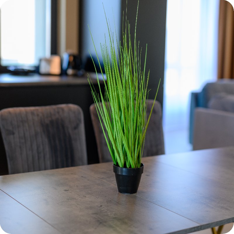 Aquarium Residence Penthouse 7