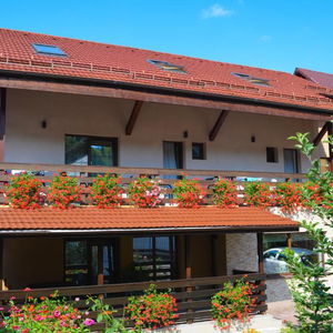 Hotel Vila Andrei cazare Baile Olanesti