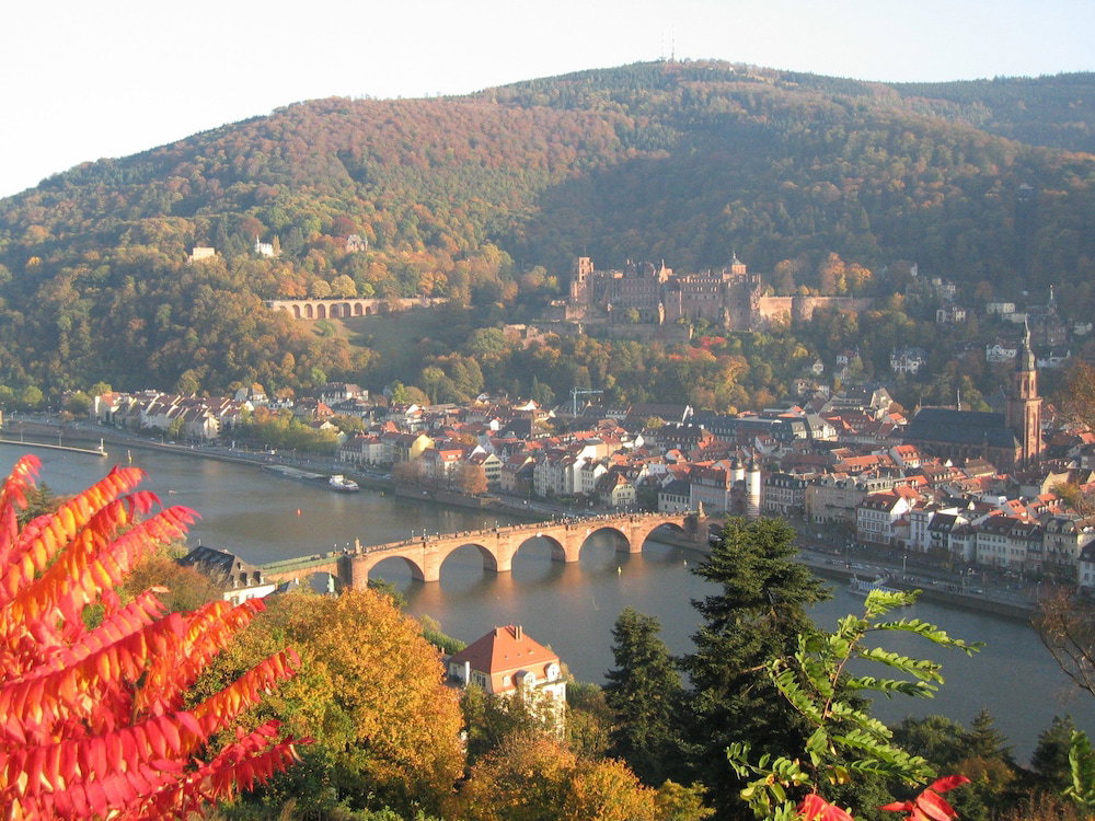 Hotel Neu Heidelberg - Guesthouse & Apartments