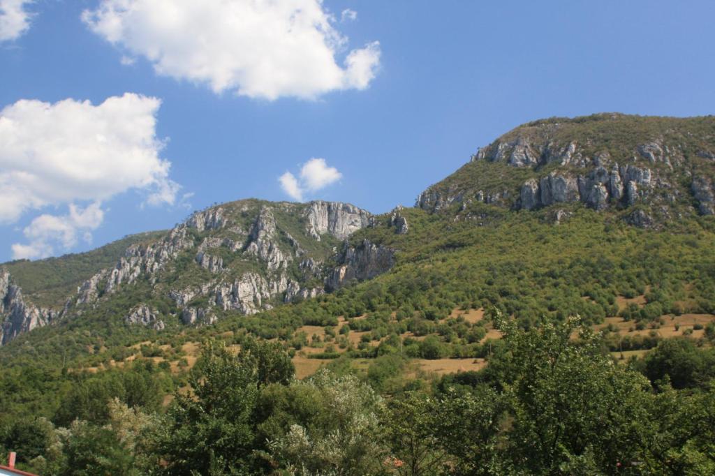Pensiune Safrane