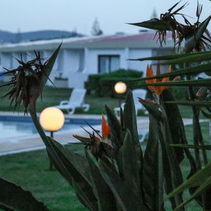 Sejur Vilamoura Golf Hotel vacanta Algarve