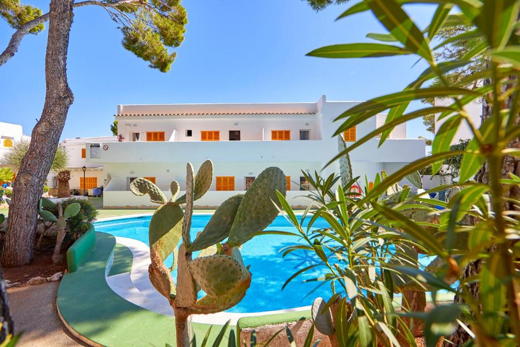 dal travel Gavimar Ariel Chico Club & Resort