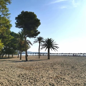 Sejur Aparthotel Aquasol vacanta Palmanova