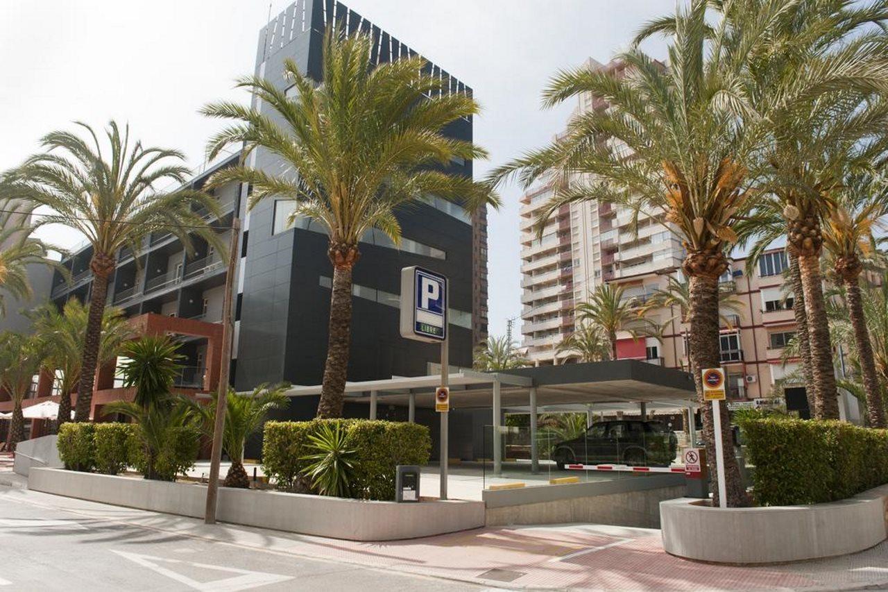 Hotel Hotel El Palmeral