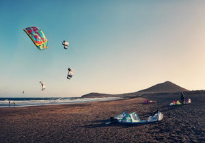 Hotel Hotel Playa Sur Tenerife cazare El Medano