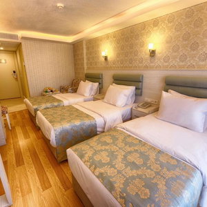 Hotel New Florenta Hotel cazare Istanbul
