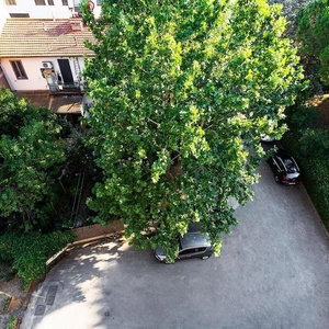 Sejur Hotel Corolle vacanta Florenta