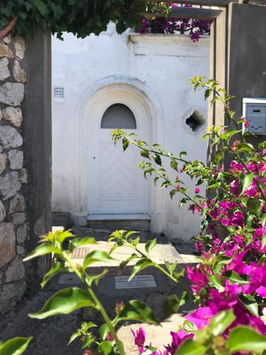 Hotel Casa Maddy Boutique Bandb