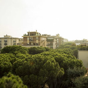 Hotel Hotel Calypso cazare Rimini