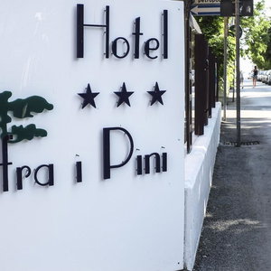 Hotel Hotel Fra I Pini cazare Rimini