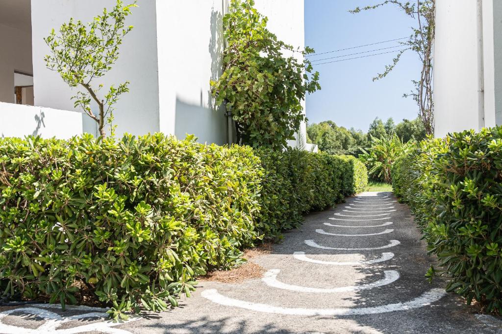 dal travel Absolute Kiotari Resort