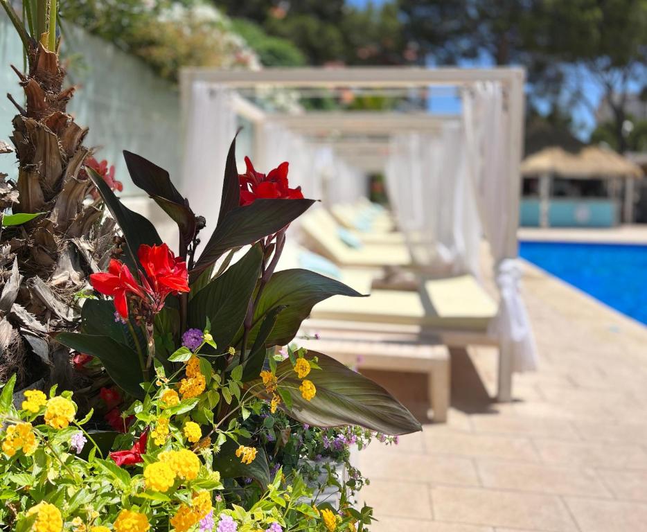 dal travel Inn Mallorca Aparthotel