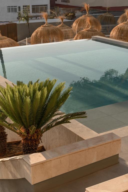 dal travel Cook's Club Calvia Beach - Adults Only +21