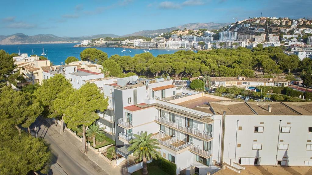 dal travel Hotel Y Apartamentos Casablanca