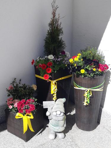 Hotel Gasthof Weisskugel