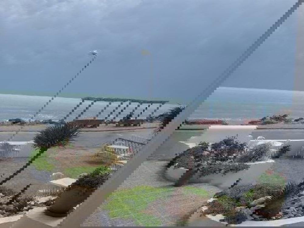 Hotel Hotel Flamingo Beach