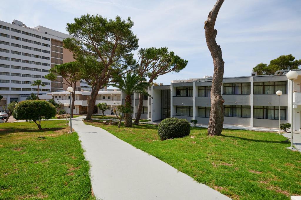 dal travel Aluasun Cala Antena - All Inclusive