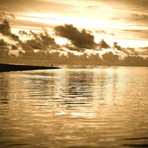 Hotel Resort Tava'e cazare Aitutaki