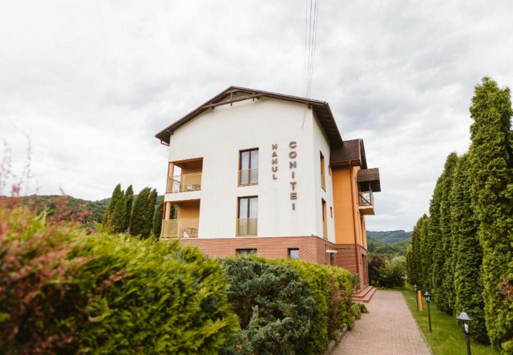 Hotel Hanul Conitei