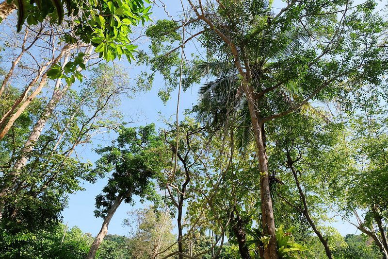 Hotel Whalecome Aonang Resort