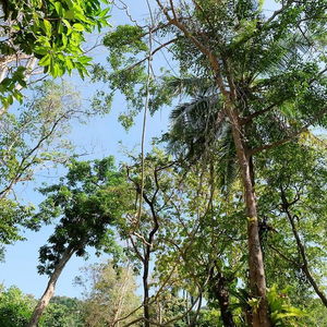 Hotel Whalecome Aonang Resort cazare Ban Ao Nang