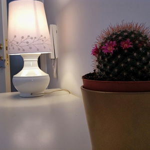 Sejur La Torre E Il Mare vacanta Monopoli