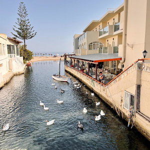 Hotel Hotel Kalyves Beach cazare Almirida