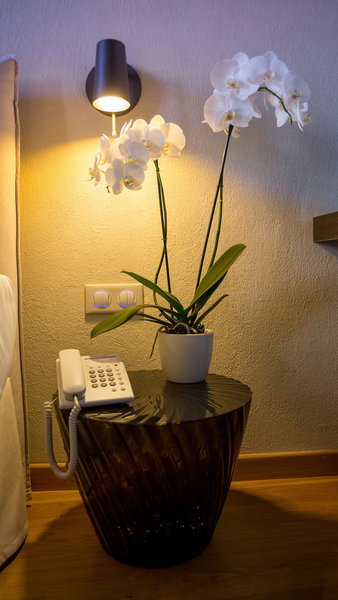 dal travel Allegory Boutique Hotel