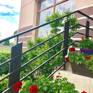 Hotel Pension Aroma cazare Baile Felix