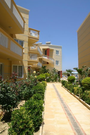 Hotel Futura Hotel cazare Dimos Platanias