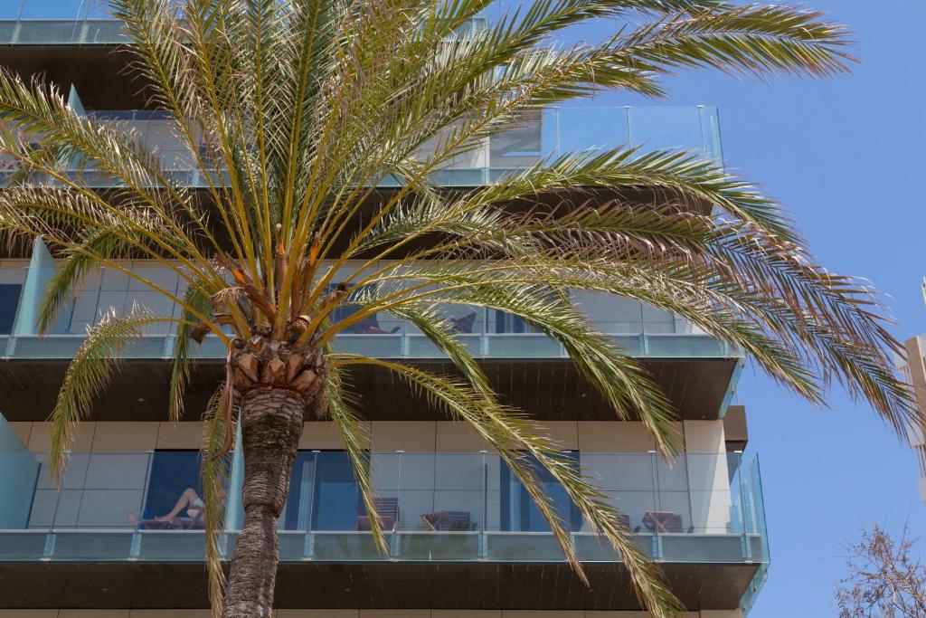 dal travel Hotel Eden Palma Playa - Adults Only
