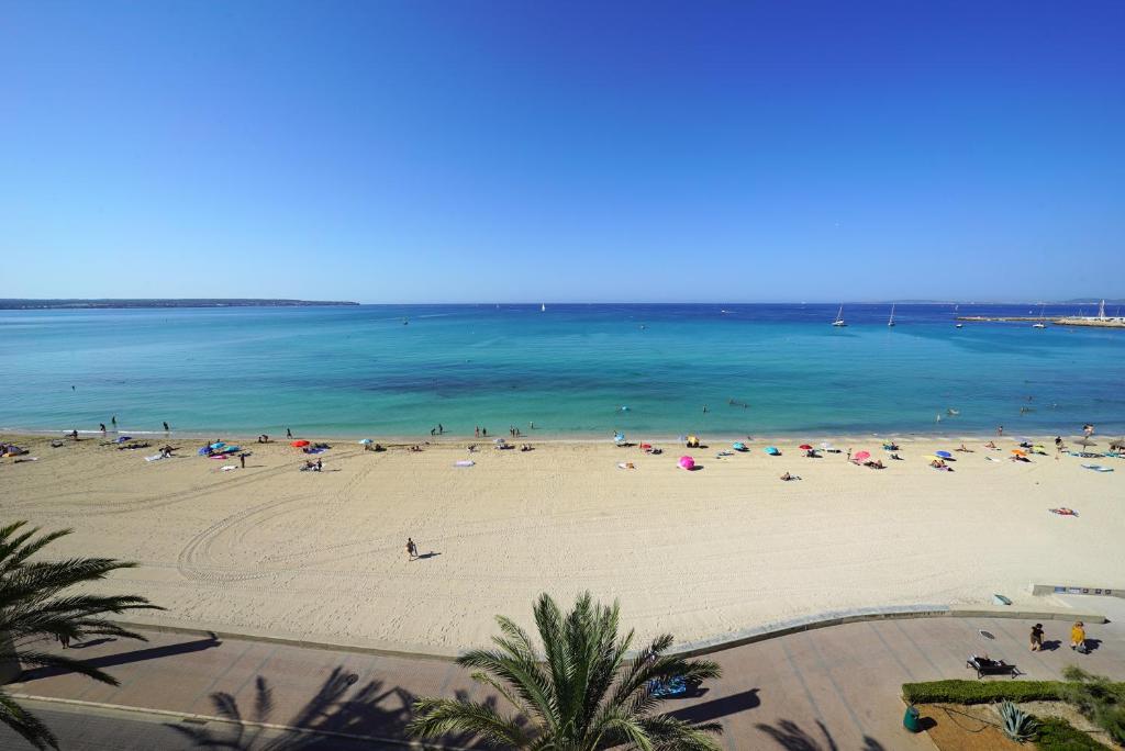 dal travel Hotel Eden Palma Playa - Adults Only