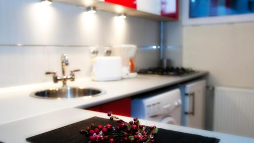 Hotel Rainbow Accommodation