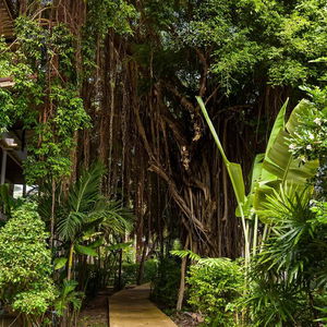 Hotel 4U Resort cazare Ko Samui