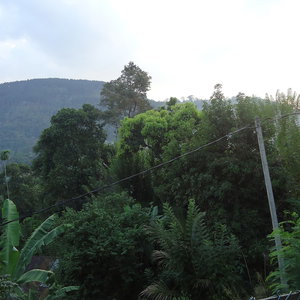 Sejur Relaxed Style Of Stay vacanta Sri Lanka