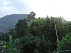Hotel Relaxed Style Of Stay cazare Sri Lanka